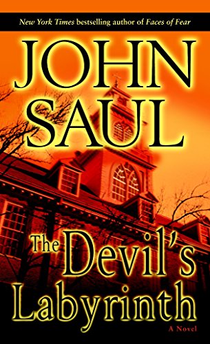 Beispielbild fr The Devil's Labyrinth: A Novel zum Verkauf von Gulf Coast Books