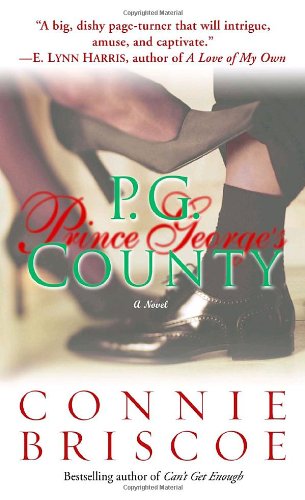 Beispielbild fr P.G. County: A Novel zum Verkauf von SecondSale