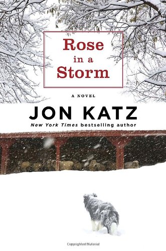 Imagen de archivo de Rose in a Storm: A Novel a la venta por SecondSale