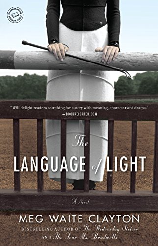 Imagen de archivo de The Language of Light: A Novel a la venta por More Than Words