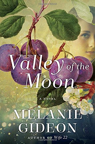 Beispielbild fr Valley of the Moon zum Verkauf von Better World Books
