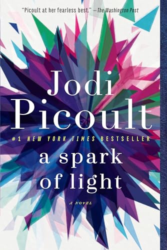 Imagen de archivo de A Spark of Light: A Novel [Paperback] Picoult, Jodi a la venta por RUSH HOUR BUSINESS