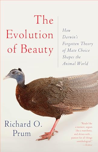 Stock image for The Evolution of Beauty : How Darwin's Forgotten Theory of Mate Choice Shapes the Animal World - and Us for sale by Better World Books