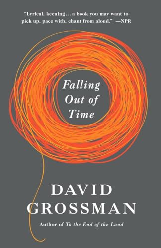 Imagen de archivo de Falling Out of Time a la venta por Better World Books