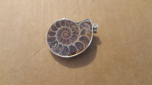 9780345903518: Ammonite