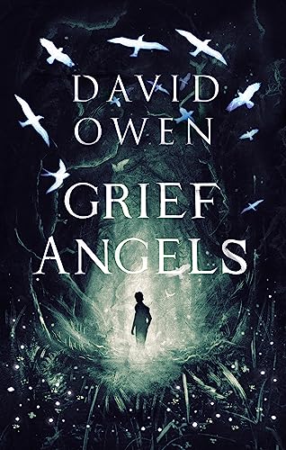 Imagen de archivo de Grief Angels a la venta por Blackwell's