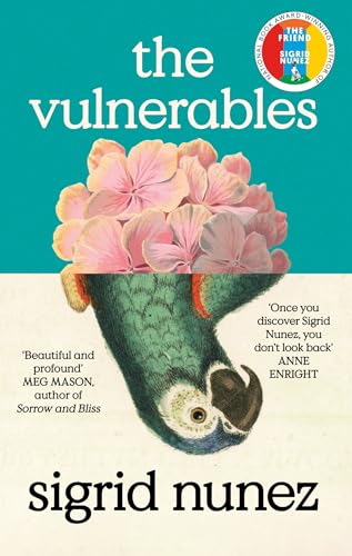 Beispielbild fr The Vulnerables: 'Beautiful and profound' Meg Mason zum Verkauf von WorldofBooks