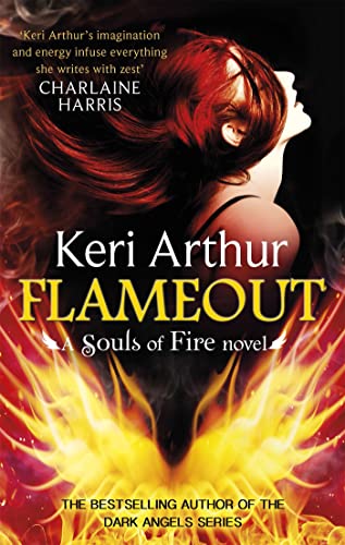 Stock image for Flameout for sale by Blackwell's