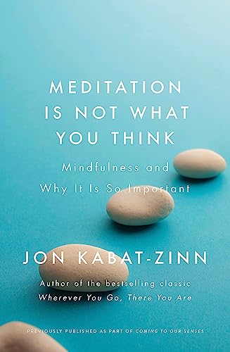 9780349421087: Meditation is Not What You Think: Mindfulness and Why It Is So Important