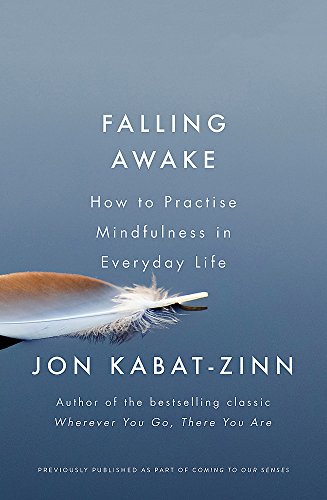 Imagen de archivo de Falling Awake: How to Practice Mindfulness in Everyday Life (Coming to Our Senses Part 2) a la venta por Y-Not-Books