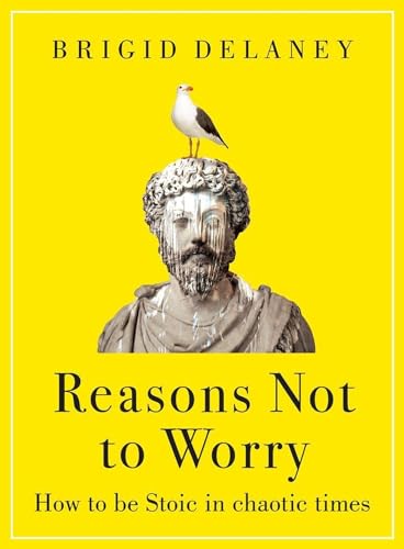 Imagen de archivo de Reasons Not to Worry a la venta por Blackwell's