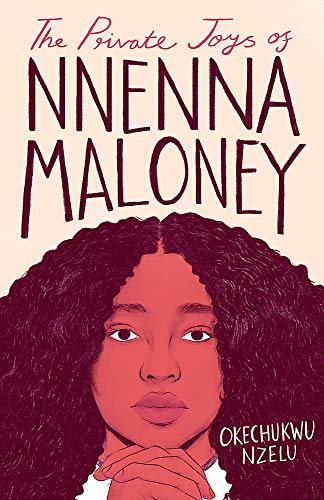 Imagen de archivo de The Private Joys of Nnenna Maloney a la venta por AwesomeBooks