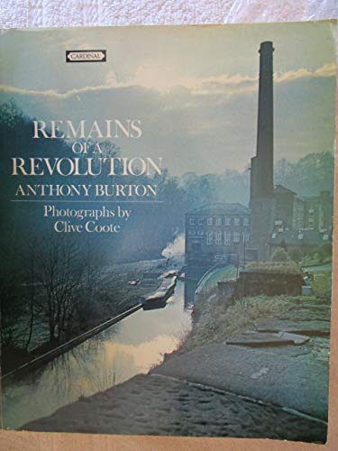 Imagen de archivo de Remains of a Revolution a la venta por WorldofBooks