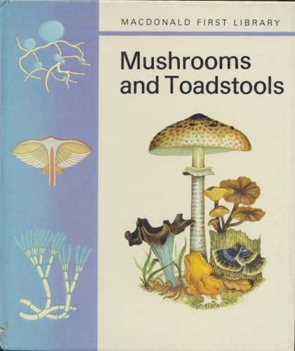 Stock image for Mushrooms and Toadstools (Macdonald First Library Series) for sale by WorldofBooks