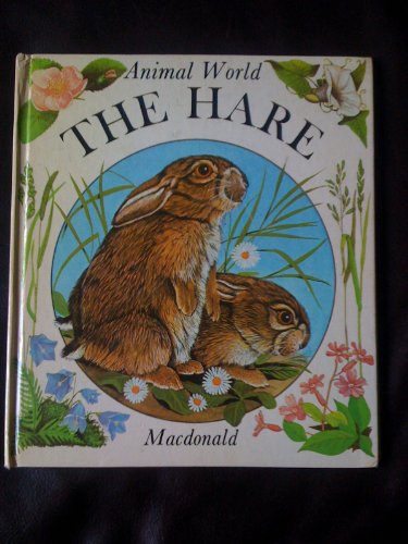 Imagen de archivo de Hare, The (Animal World S.) a la venta por medimops