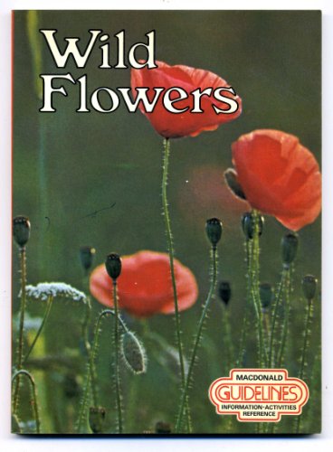 Stock image for Wild Flowers (Nature Detective S.) for sale by WorldofBooks