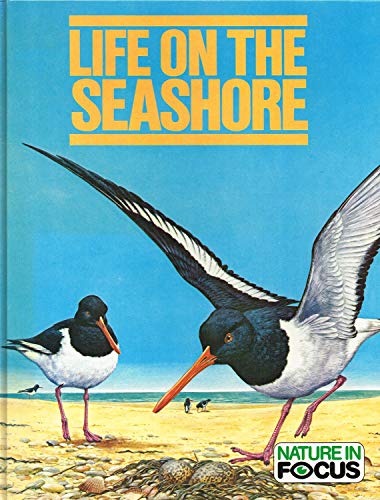 Stock image for Life On The Seashore : ( Nature In Focus ) : for sale by WorldofBooks