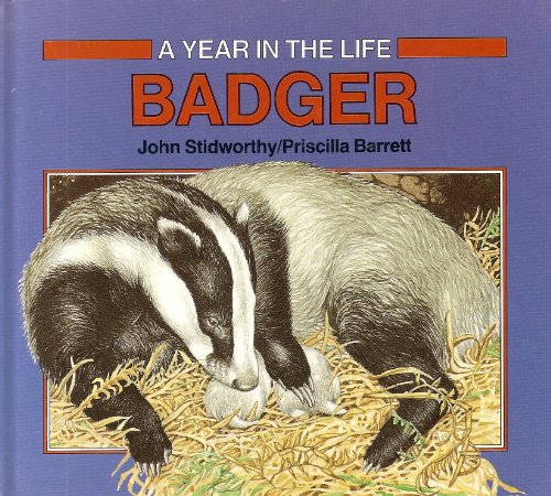 Stock image for Year in the Life of: Badger (A Year in the life) for sale by WorldofBooks