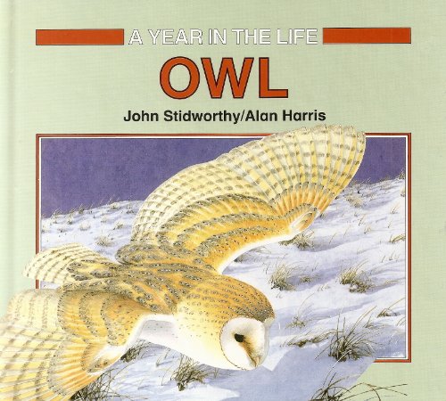 Beispielbild fr Year in the Life of: Barn Owl (A Year in the life) zum Verkauf von WorldofBooks