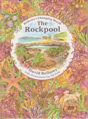 Beispielbild fr Bellamy's Changing World: the Rockpool (Bellamy's Changing World) zum Verkauf von MusicMagpie