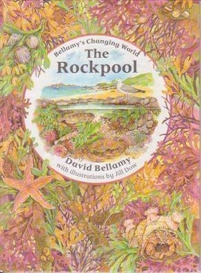 Imagen de archivo de The Rockpool (David Bellamy's Changing World S.) a la venta por AwesomeBooks