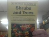 Imagen de archivo de Mac Ency Shrubs & Trees (Macdonald encyclopedias) a la venta por WorldofBooks
