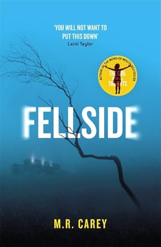 9780356503585: Fellside