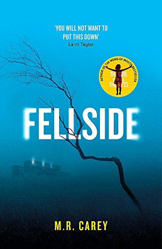 Imagen de archivo de Fellside a la venta por Better World Books Ltd