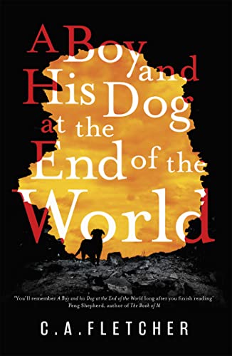 Beispielbild fr A Boy and his Dog at the End of the World zum Verkauf von WorldofBooks