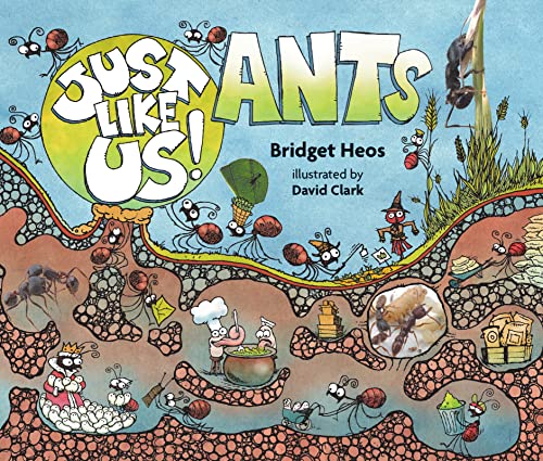Stock image for Just Like Us! Ants for sale by Better World Books