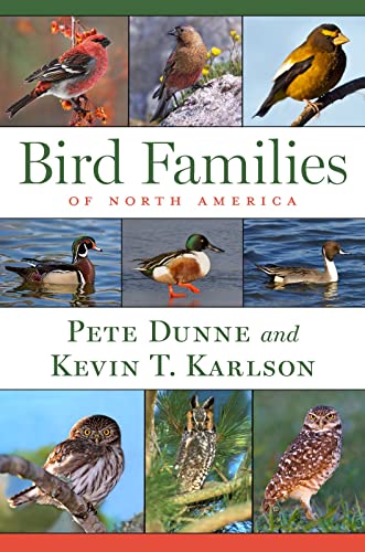 Beispielbild fr Bird Families Of North America zum Verkauf von PlumCircle