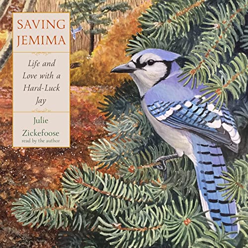 9780358285090: Saving Jemima: Life and Love With a Hard-Luck Jay