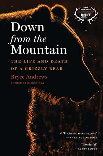 Stock image for Down from the Mountain: The Life and Death of a Grizzly Bear for sale by Lakeside Books