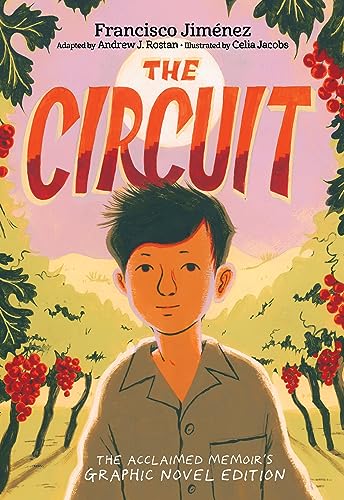 Stock image for Circuit A Graphic Memoir Pb for sale by Kennys Bookshop and Art Galleries Ltd.