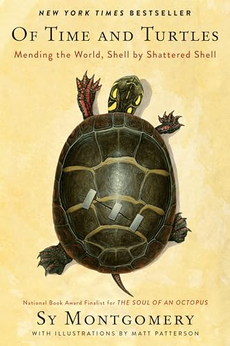 Stock image for Of Time and Turtles: Mending the World, Shell by Shattered Shell for sale by HPB Inc.