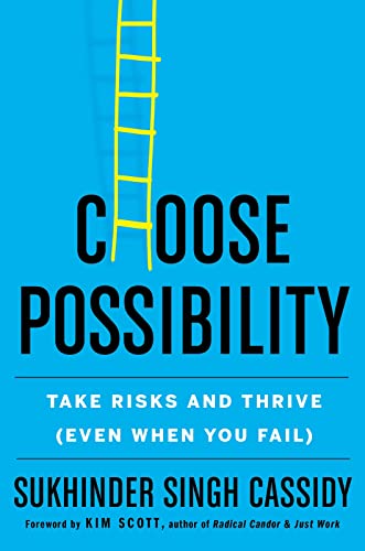 Stock image for Choose Possibility: Take Risks and Thrive (Even When You Fail) for sale by SecondSale