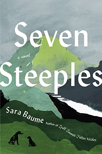Beispielbild fr Seven Steeples zum Verkauf von Better World Books