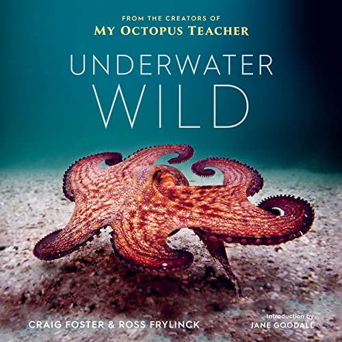 Stock image for Underwater Wild: My Octopus Teacher's Extraordinary World for sale by GF Books, Inc.