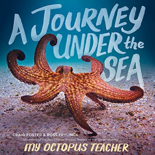 Stock image for A Journey Under the Sea for sale by HPB-Diamond