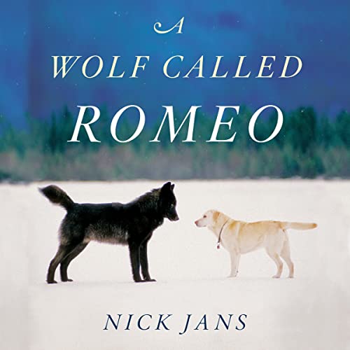 9780358719069: A Wolf Called Romeo