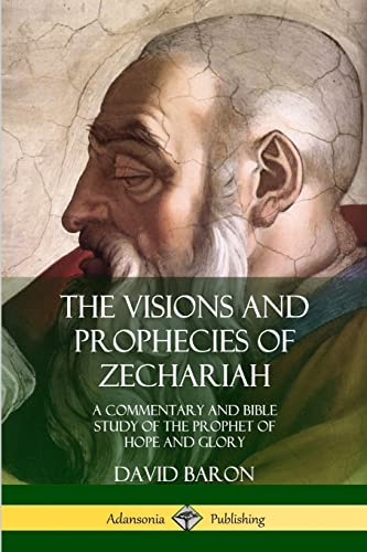 9780359033966: The Visions and Prophecies of Zechariah: A Commentary and Bible Study of the Prophet of Hope and Glory