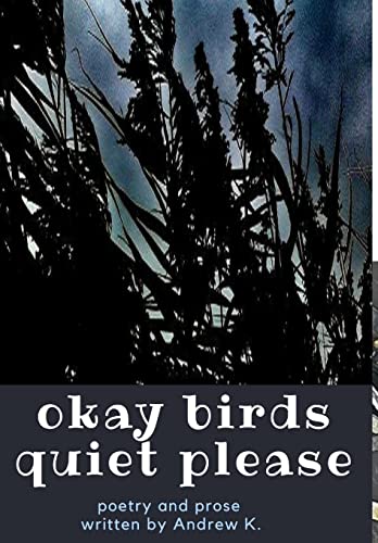 Beispielbild fr okay birds quiet please (deluxe hardcover edition) zum Verkauf von Lucky's Textbooks