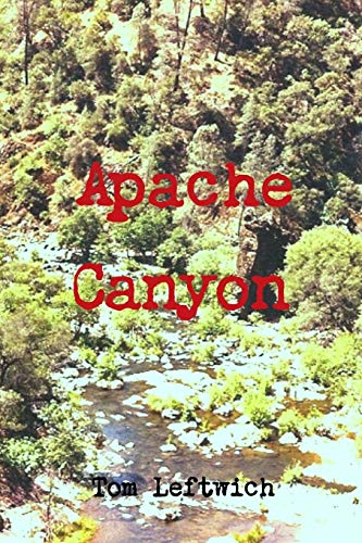 Imagen de archivo de Apache Canyon a la venta por Lucky's Textbooks