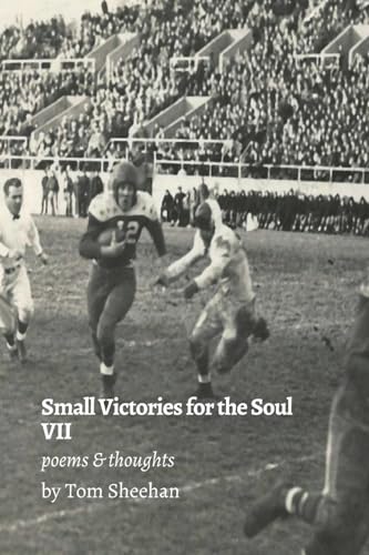 Stock image for Small Victories for the Soul VII for sale by ThriftBooks-Atlanta