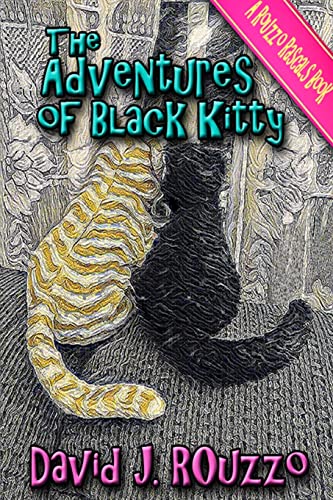 Stock image for The Adventures of Black Kitty for sale by Lucky's Textbooks