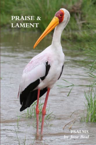 Beispielbild fr PRAISE & LAMENT: Psalms for the God of Birds zum Verkauf von Lucky's Textbooks