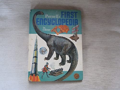 Stock image for First Encyclopaedia in Colour for sale by Goldstone Books