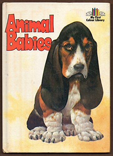 Stock image for Animal Babies for sale by Silver Trees Books