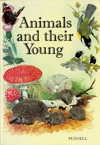Imagen de archivo de Animals and Their Young a la venta por Hippo Books