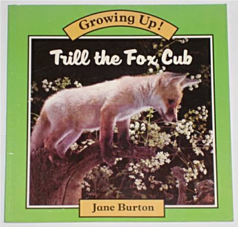 Stock image for Growing up 07 Trill Fox Cub Pb for sale by Goldstone Books